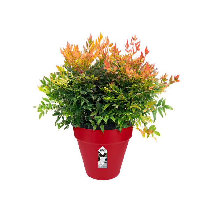 loft urban round 25cm cranberry red